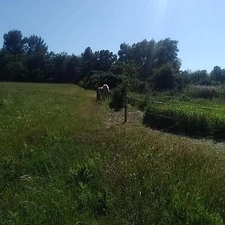 Maison Individuelle 5 Couchages Dans Ferme Equestre Aups Kültér fotó