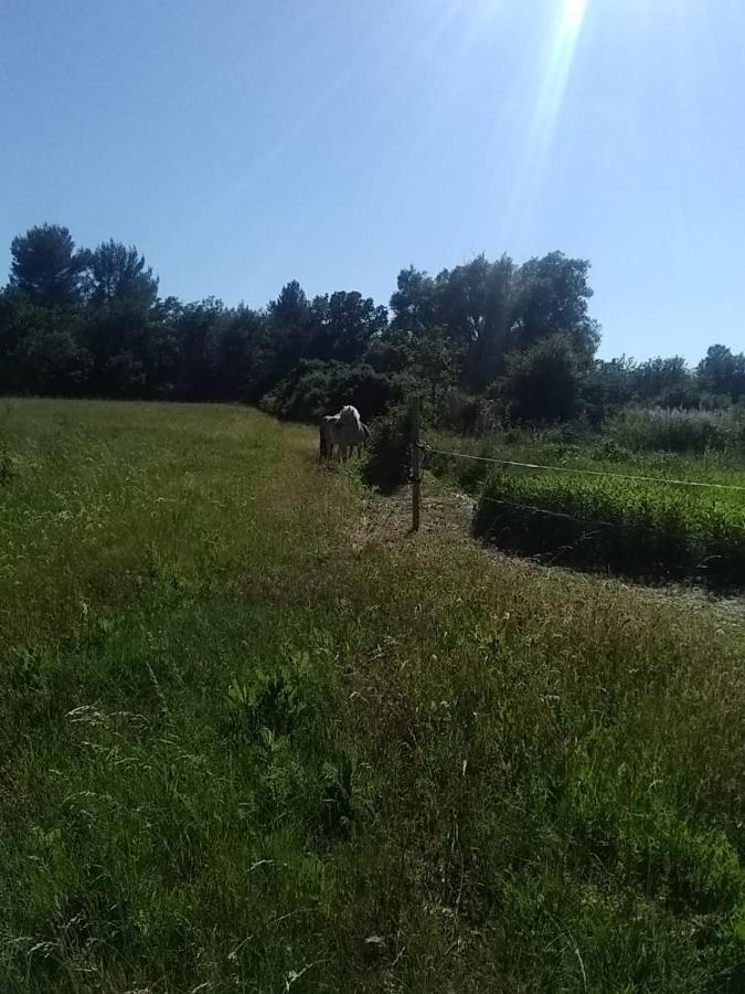Maison Individuelle 5 Couchages Dans Ferme Equestre Aups Kültér fotó